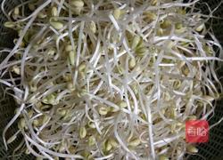 清炒豆芽的做法图解1