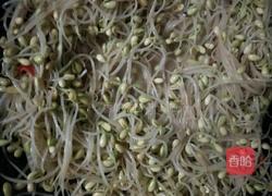 清炒豆芽的做法图解4