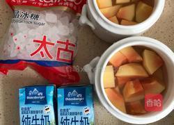 木瓜炖牛奶的做法图解2