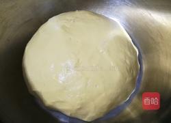 南瓜软面包的做法图解6