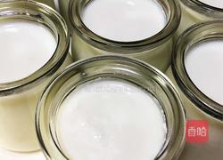 自制葡萄干酸奶的做法图解6