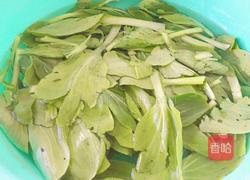 冬瓜青菜花生牛肉丸子汤的做法图解4