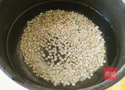 首创冰糖薏米冬瓜皮的做法图解3