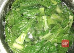 芥菜瘦肉汤的做法图解4