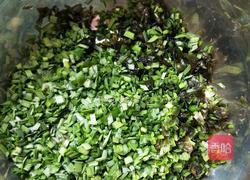 韭菜鸡蛋地皮菜素馅的做法图解2