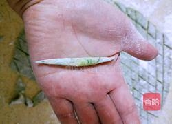 菠菜搓搓的做法图解13