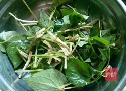 夏日轻 食凉拌折耳根 的做法图解2