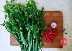 凉拌龙须菜的做法图解1