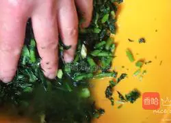 Quick Pickle Making Illustration 4