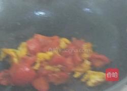 西红柿炒鸡蛋的做法图解13