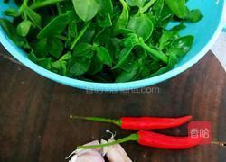 凉拌田七菜的做法图解1