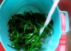 凉拌田七菜的做法图解17