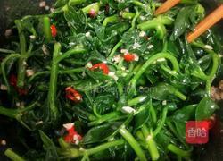 凉拌田七菜的做法图解20