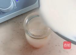 芒果牛奶冻的做法图解5