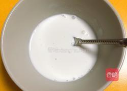 椰浆蜜汁木瓜的做法图解7