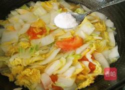 西红柿炒白菜的做法图解9