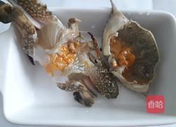 螃蟹粉丝煲的做法图解5