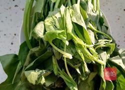 凉拌菠菜鹌鹑蛋的做法图解1