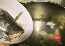 白菜豆腐鱼头汤的做法图解6