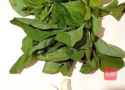 蒜香苋菜的做法图解1