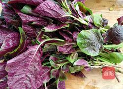 凉拌红苋菜的做法图解1