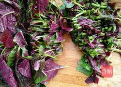 凉拌红苋菜的做法图解2