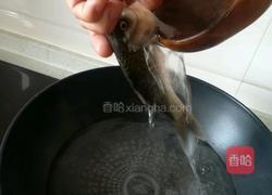 鲫鱼豆腐汤的做法图解3