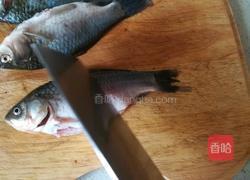 鲫鱼豆腐汤的做法图解4