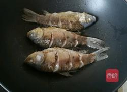 鲫鱼豆腐汤的做法图解7
