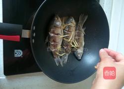 鲫鱼豆腐汤的做法图解9