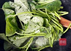 最接地气的抗癌明星菜#蒜蓉炒红薯叶的做法图解5