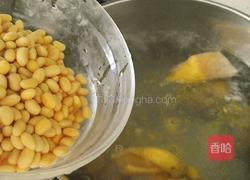 黄豆莲藕鸡汤的做法图解8