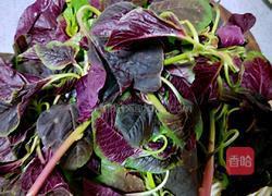 蒜泥苋菜的做法图解1