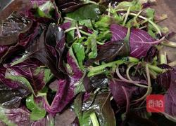 蒜泥苋菜的做法图解3