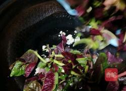 蒜泥苋菜的做法图解6