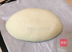 燕麦软欧包(波兰种)的做法图解11