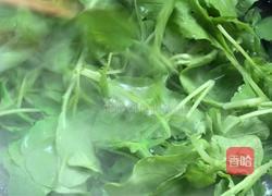 剁椒拌萝卜苗的做法图解8