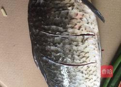 红烧鲫鱼的做法图解1