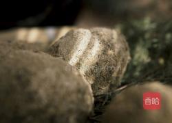 明•混沌子的做法图解3