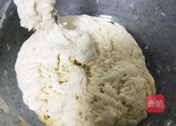 黑芝麻肉饼(不用揉面)的做法图解4