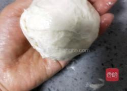 黑芝麻肉饼(不用揉面)的做法图解26