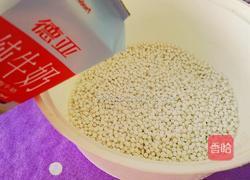 西米红豆三角粽的做法图解4