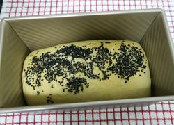 本色面包