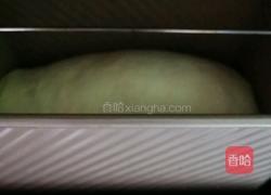 本色面包的做法图解11