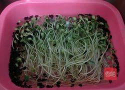 炝拌黑豆苗的做法图解1