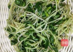 炝拌黑豆苗的做法图解5