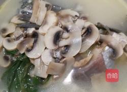 蘑菇鲫鱼汤的做法图解6