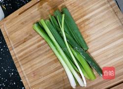 香酥麻辣肉饼的做法图解8