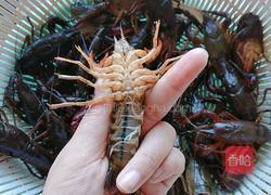 麻辣小龙虾的做法图解2