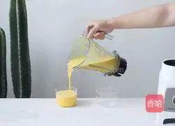 Pumpkin Seed Soy Milk Recipe Illustration 6